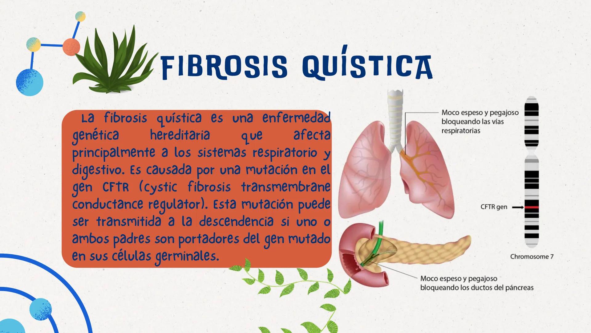 # MUTACIONES
## GERMINALES
¿LO SABIAS? # ¿CUALES SON LAS CÉLULAS GERMINALES?

Son las células involucradas en la reproducción sexual: óvulos