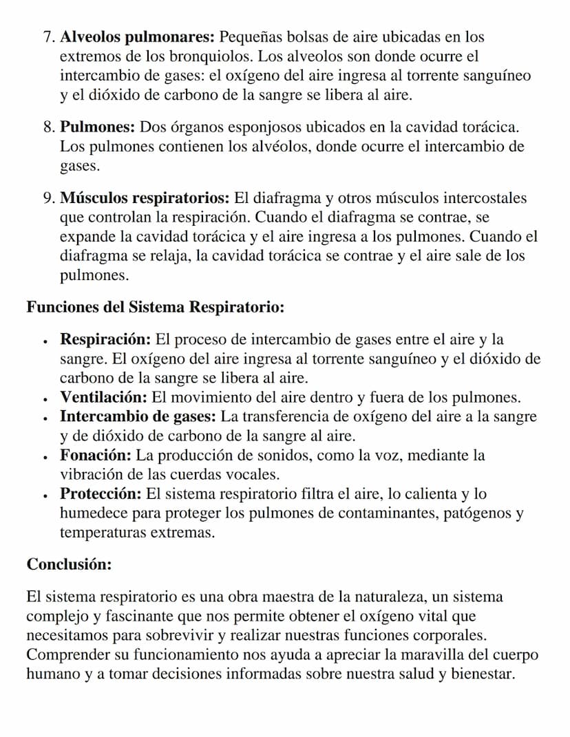 Sistema Respiratorio: La Danza del Aire y la
Vida
El sistema respiratorio se erige como un protagonista fundamental en la
orquesta de la vid