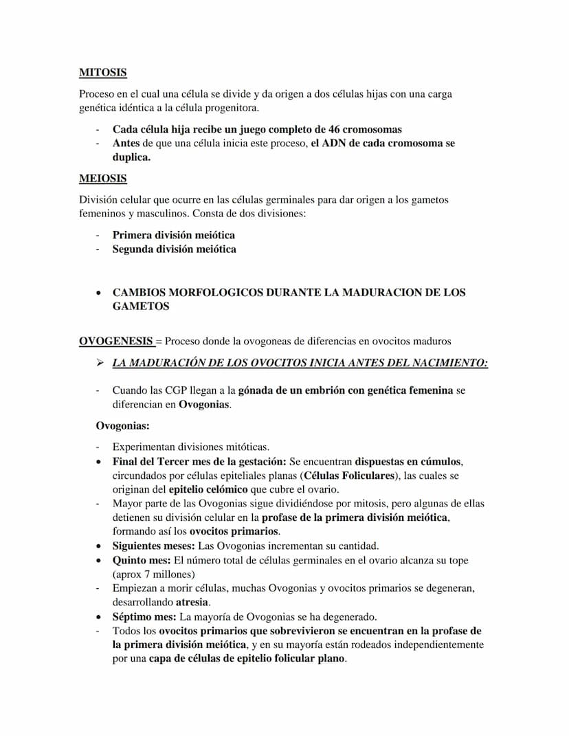 PRIMER CORTE EMBRIOLOGIA
GAMETOGENESIS
Conversión de células germinales en gametos masculinos y femeninos
•
CÉLULAS GERMINALES PRIMORDIALES
