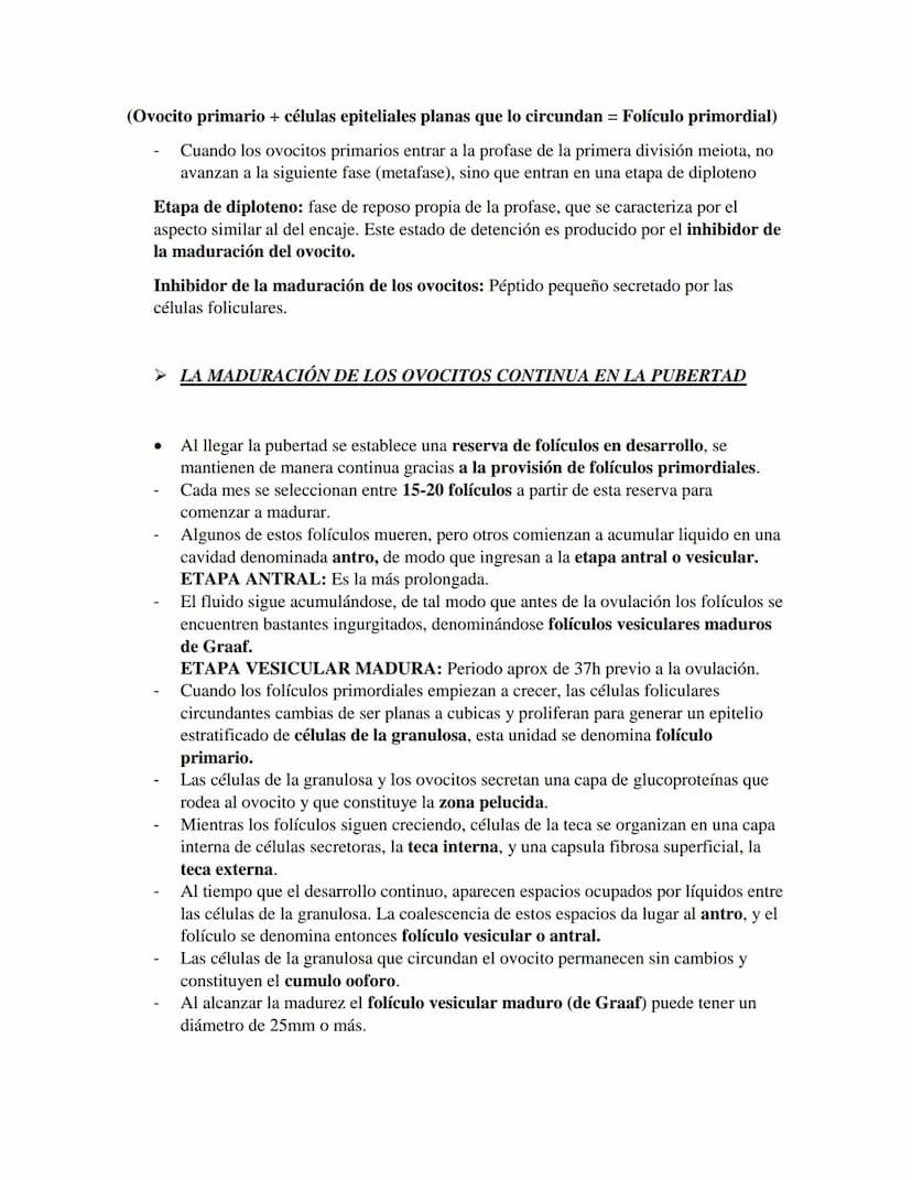 PRIMER CORTE EMBRIOLOGIA
GAMETOGENESIS
Conversión de células germinales en gametos masculinos y femeninos
•
CÉLULAS GERMINALES PRIMORDIALES
