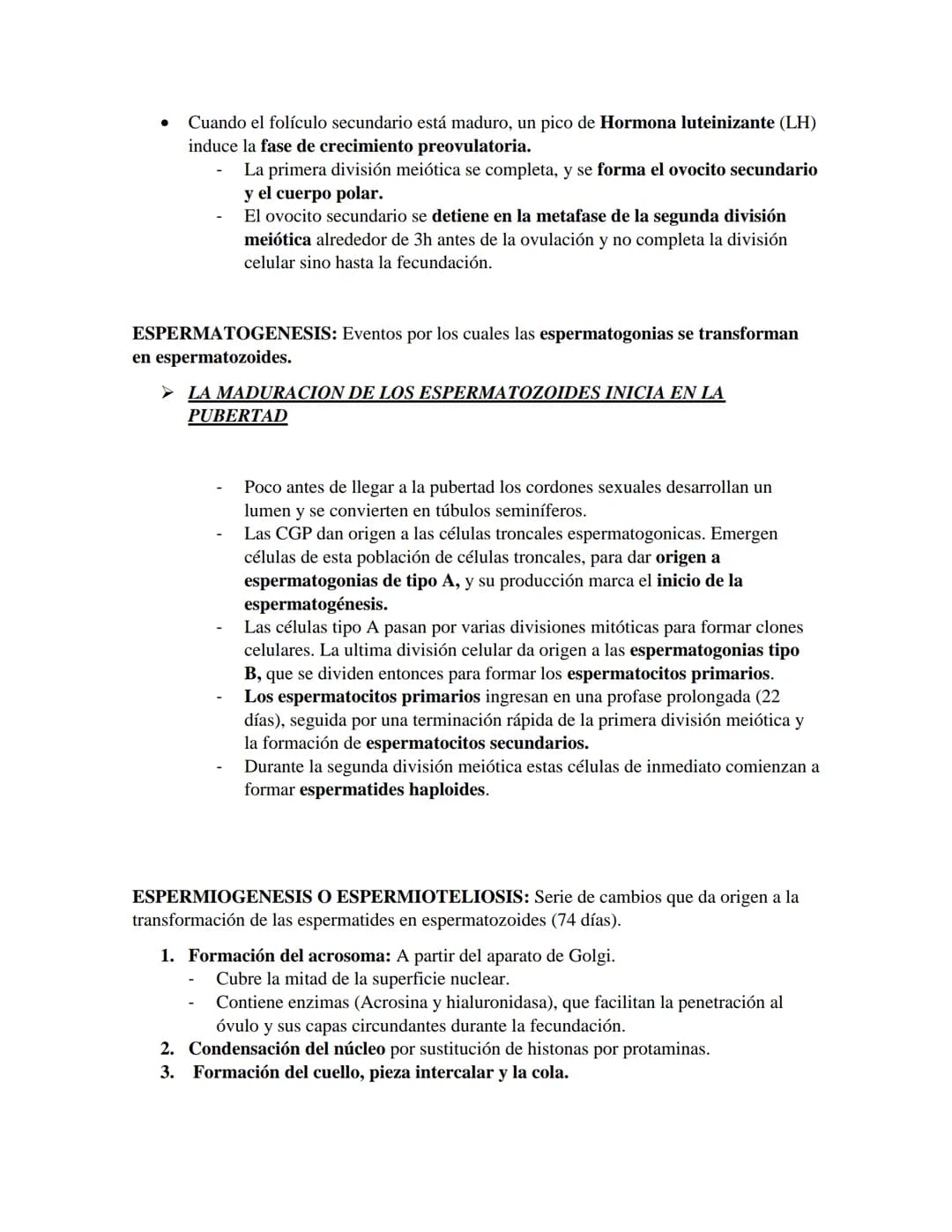 PRIMER CORTE EMBRIOLOGIA
GAMETOGENESIS
Conversión de células germinales en gametos masculinos y femeninos
•
CÉLULAS GERMINALES PRIMORDIALES
