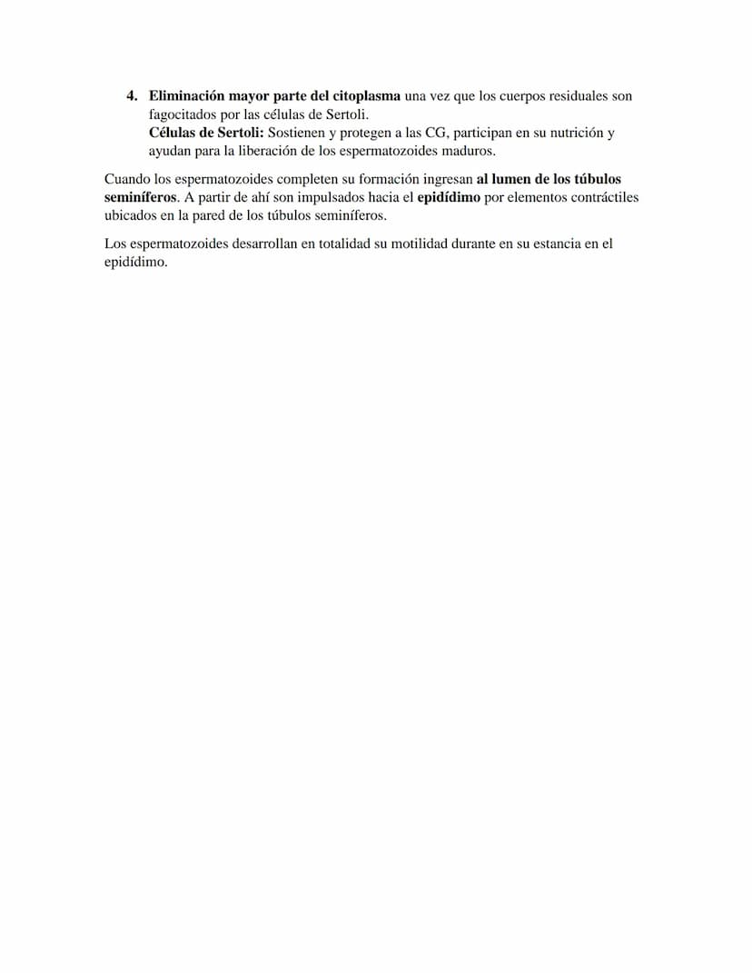 PRIMER CORTE EMBRIOLOGIA
GAMETOGENESIS
Conversión de células germinales en gametos masculinos y femeninos
•
CÉLULAS GERMINALES PRIMORDIALES
