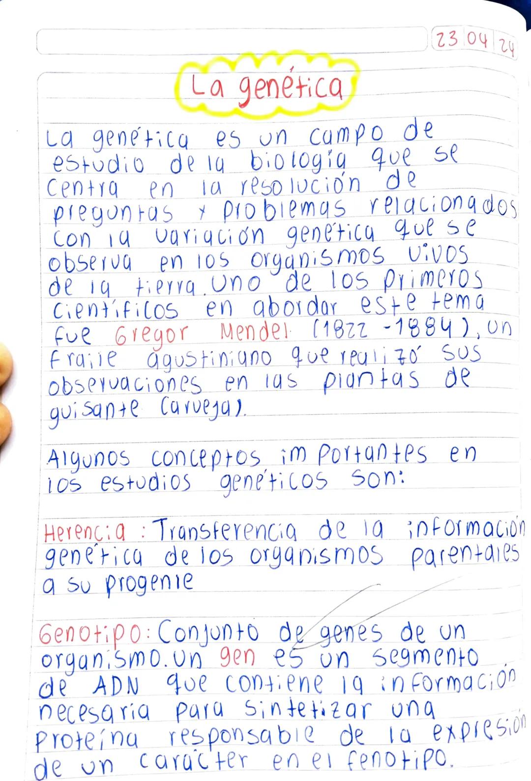 23.04 24

# La genética

La genética es un campo de
estudio de la biología que se
Centra en la resolución de
preguntas & problemas relaciona