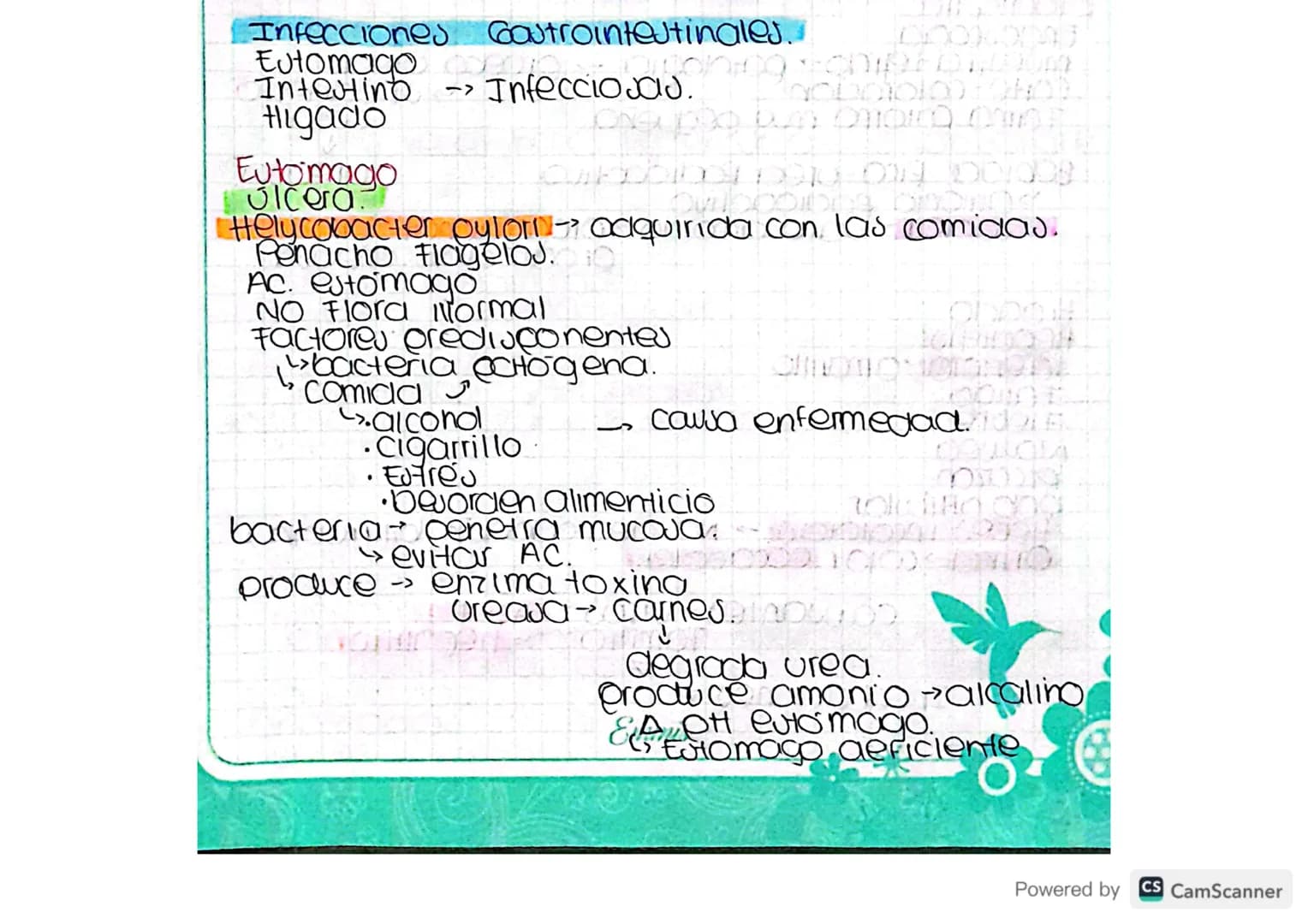 Infecciones
Gastrointestinales..
Eutomago S
Intestino
-> InfeccioJAJ.
Higado
Eutomago
Ulcera
Helycobacter pylori adquirida con las comidas.
