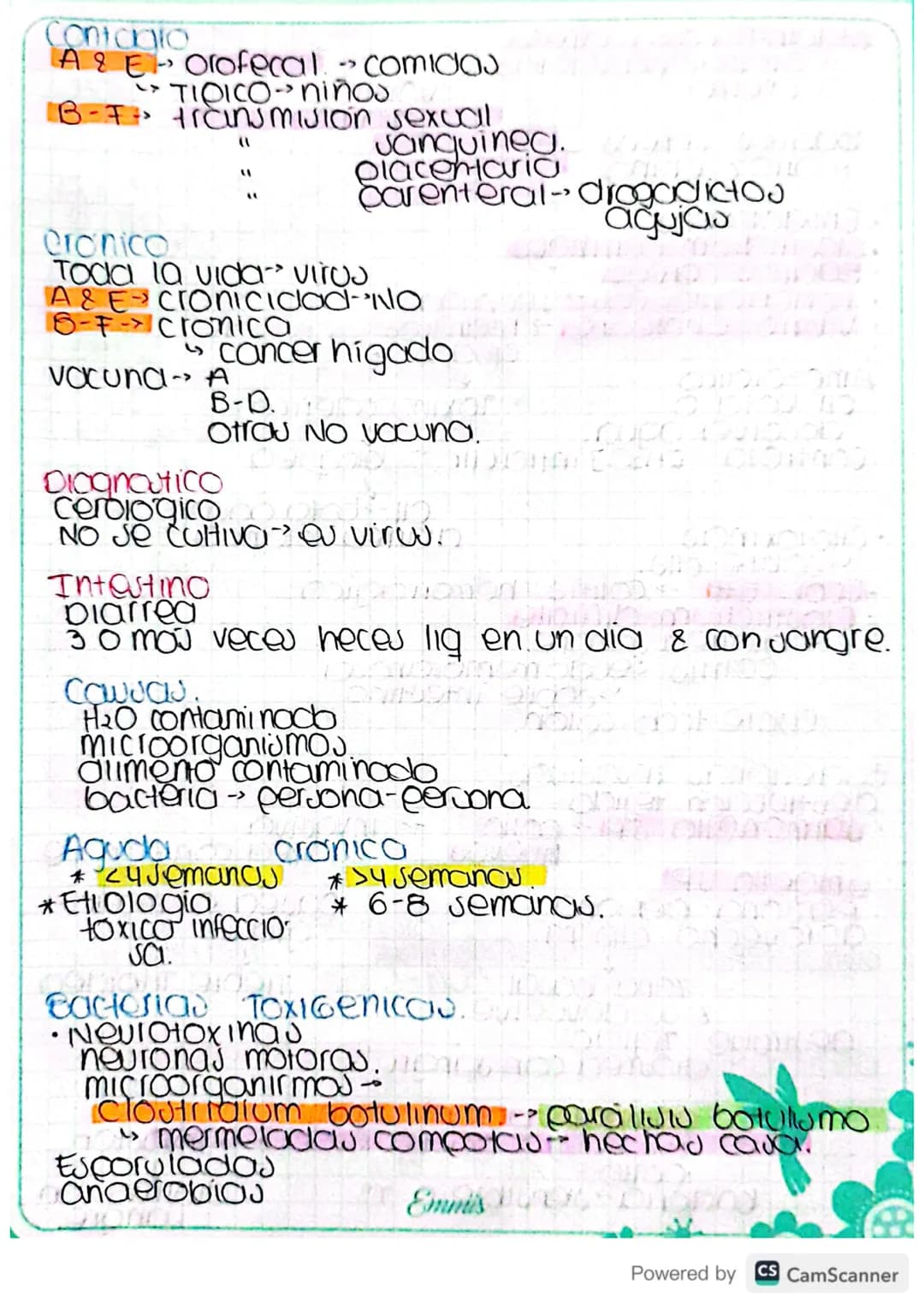 Infecciones
Gastrointestinales..
Eutomago S
Intestino
-> InfeccioJAJ.
Higado
Eutomago
Ulcera
Helycobacter pylori adquirida con las comidas.
