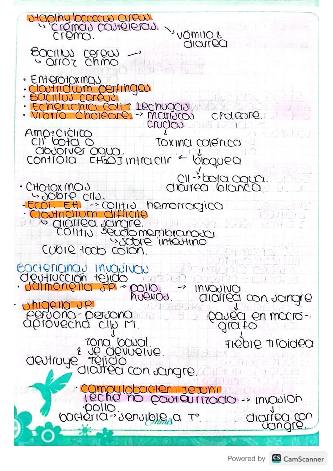 Infecciones
Gastrointestinales..
Eutomago S
Intestino
-> InfeccioJAJ.
Higado
Eutomago
Ulcera
Helycobacter pylori adquirida con las comidas.

