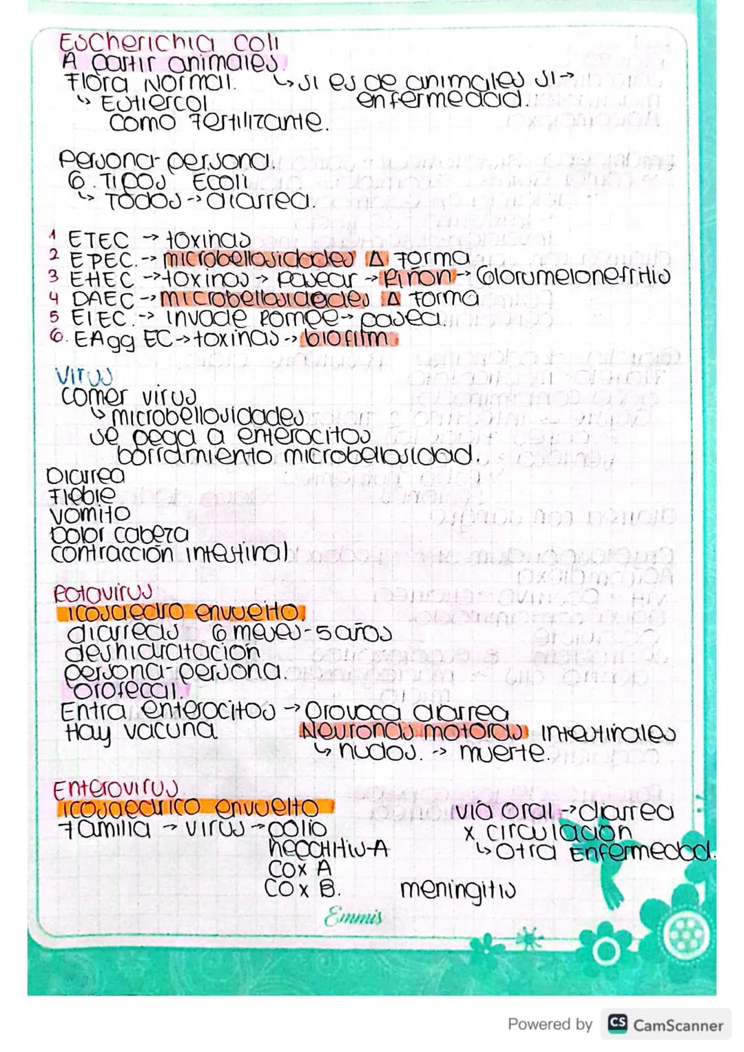 Infecciones
Gastrointestinales..
Eutomago S
Intestino
-> InfeccioJAJ.
Higado
Eutomago
Ulcera
Helycobacter pylori adquirida con las comidas.
