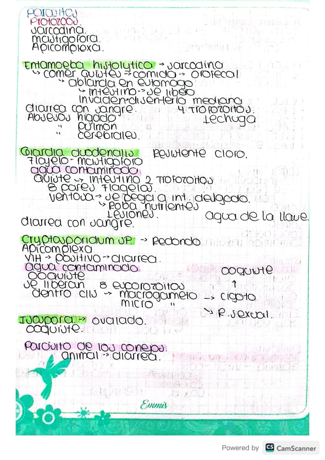 Infecciones
Gastrointestinales..
Eutomago S
Intestino
-> InfeccioJAJ.
Higado
Eutomago
Ulcera
Helycobacter pylori adquirida con las comidas.
