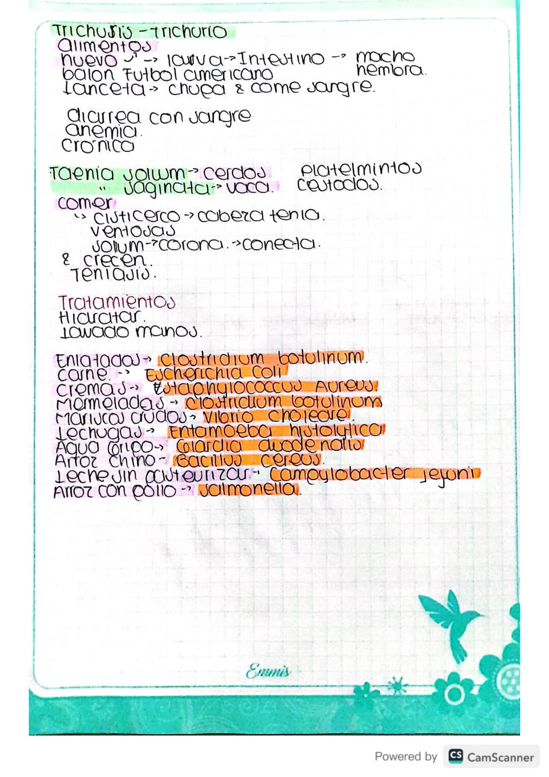 Infecciones
Gastrointestinales..
Eutomago S
Intestino
-> InfeccioJAJ.
Higado
Eutomago
Ulcera
Helycobacter pylori adquirida con las comidas.
