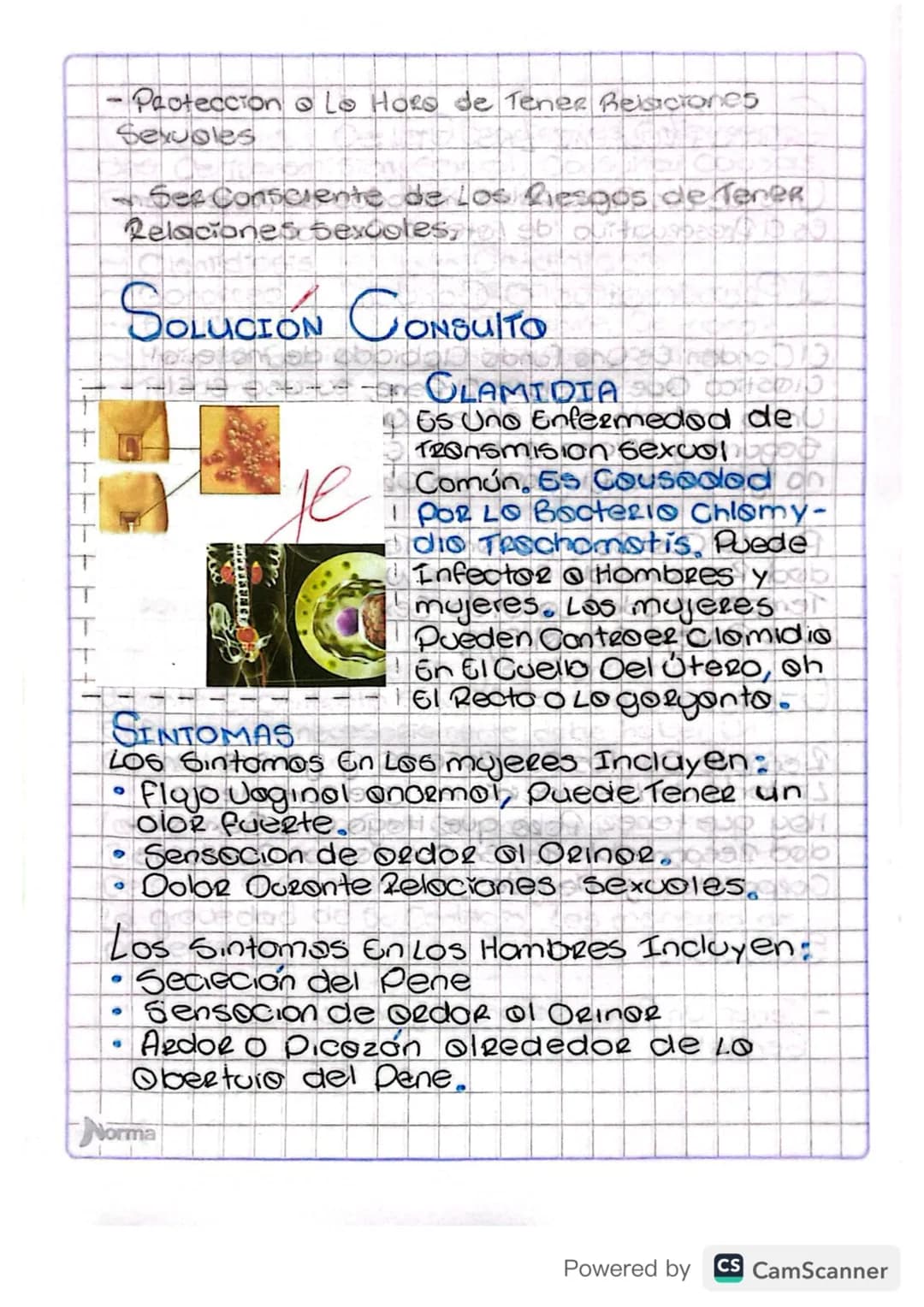 Enfermedades de transmisión sexual
