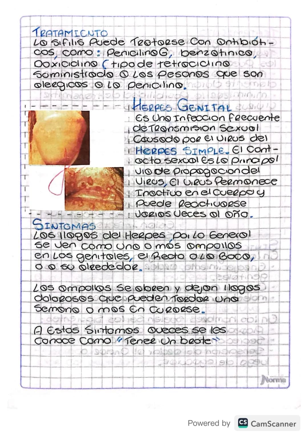 - Proteccion Lo Hors de Tenes Relaciones
Sexuales
→ See Consciente de Los Riesgos de Tener
Relaciones sexcoles,
SOLUCIÓN CONSULTO
www
SINTOM