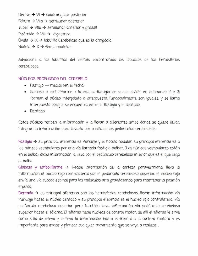 Dra. Cardenas
CEREBELO
•
•
El cerebelo se ubica en la fosa posterior y esta dividido de los hemisferios cerebrales
por el tentorio.
Se dispo
