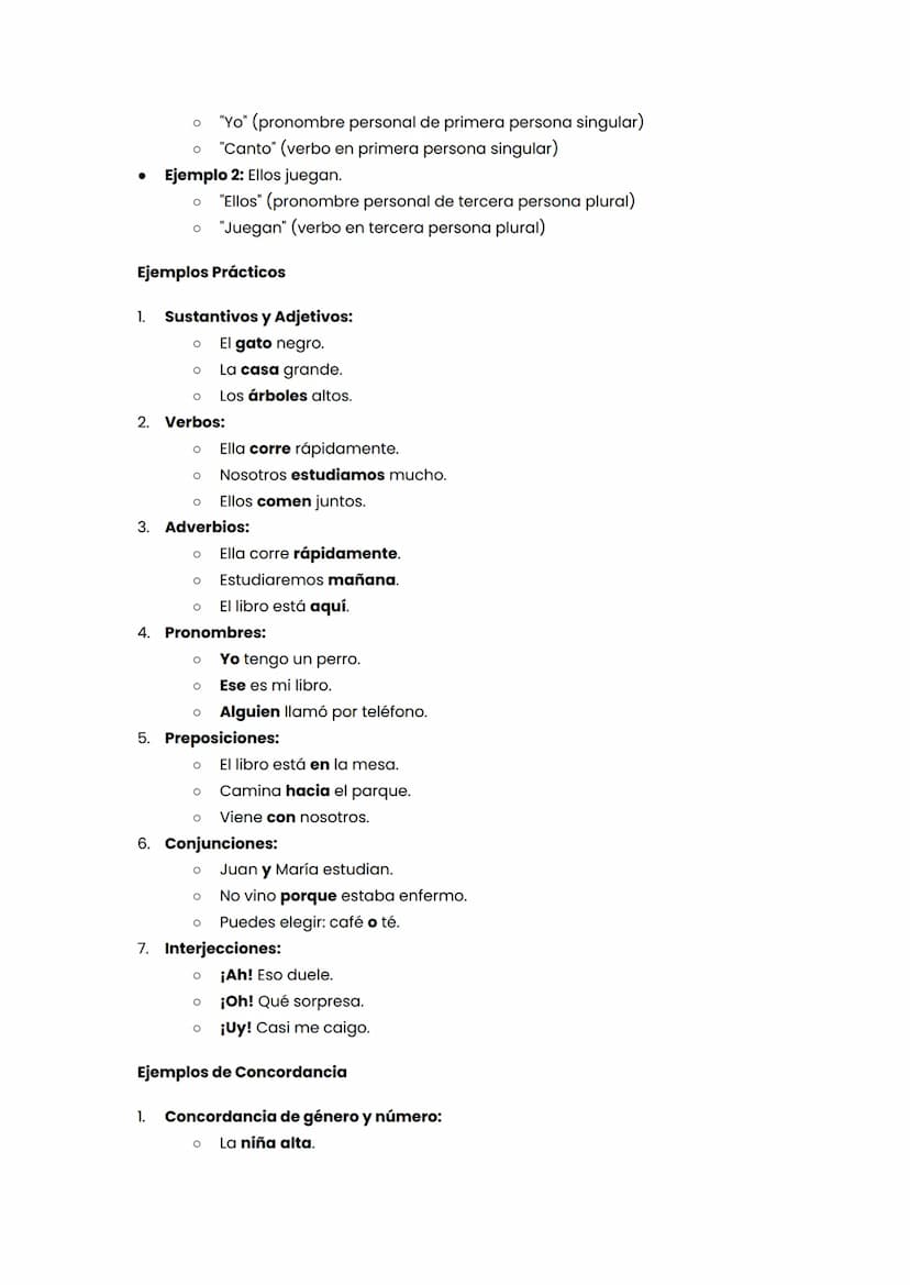Gramática: Clases de palabras y Concordancia
Introducción
La gramática es el conjunto de reglas que rige el uso de un idioma. Dentro de la
g