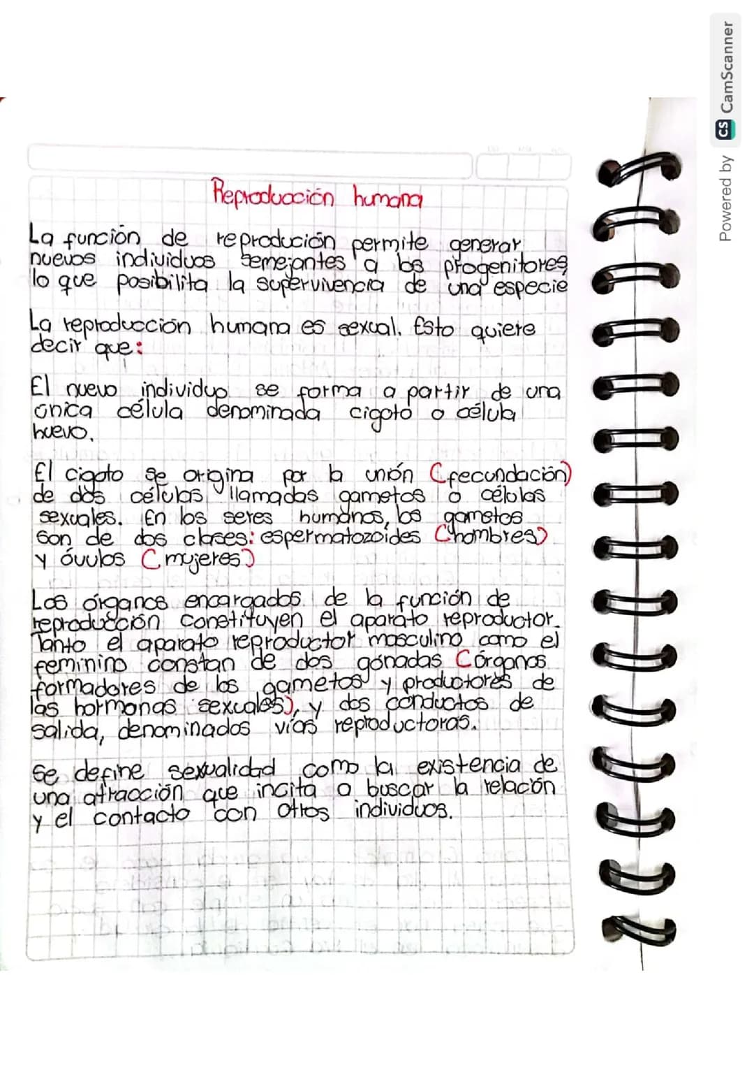 Reproducción humana