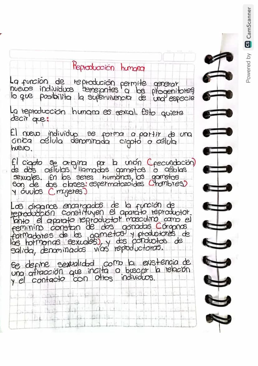 Reproducción humana
La función de reprodución permite generar
nuevos individuos semejantes a los progenitores
lo que posibilita la supervive