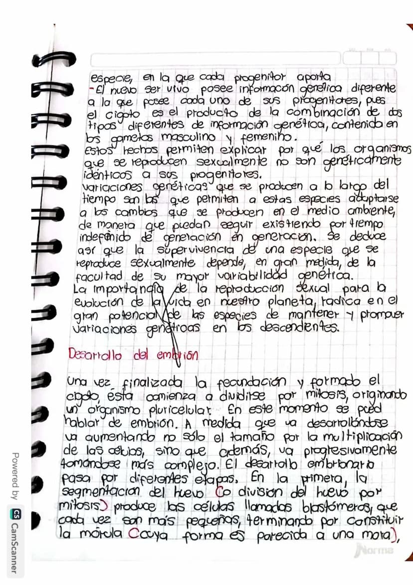 Reproducción humana
La función de reprodución permite generar
nuevos individuos semejantes a los progenitores
lo que posibilita la supervive