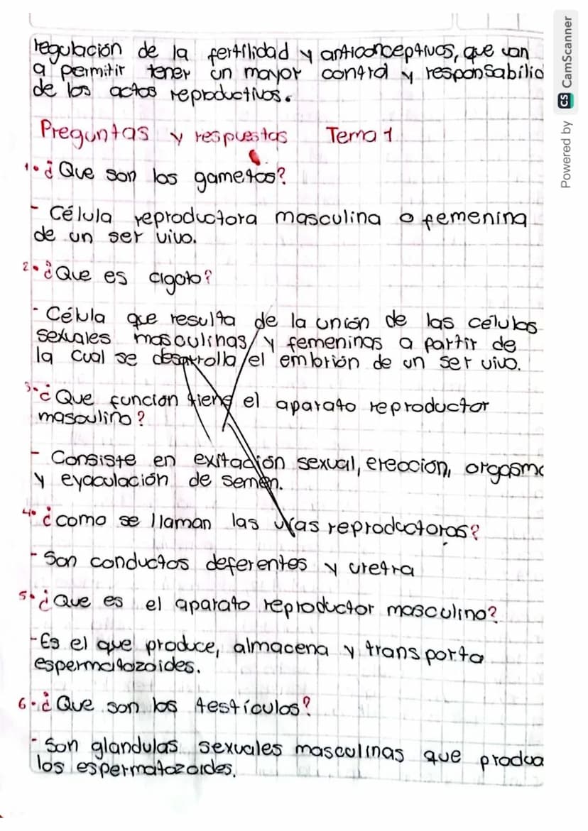 Reproducción humana
La función de reprodución permite generar
nuevos individuos semejantes a los progenitores
lo que posibilita la supervive