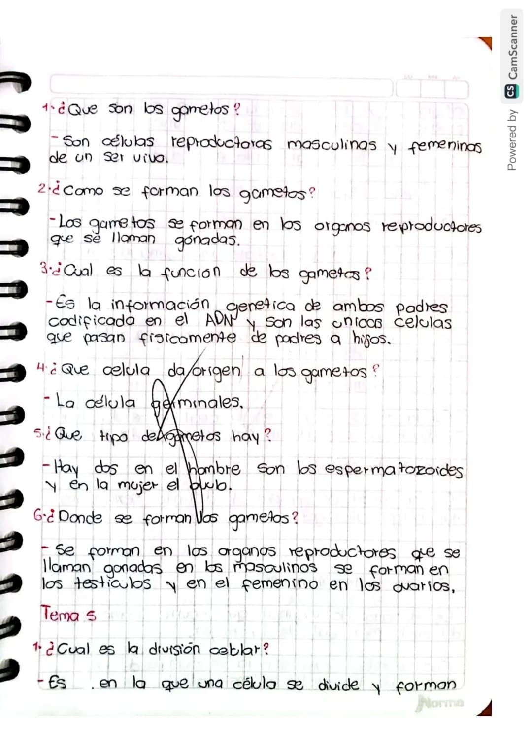 Reproducción humana
La función de reprodución permite generar
nuevos individuos semejantes a los progenitores
lo que posibilita la supervive