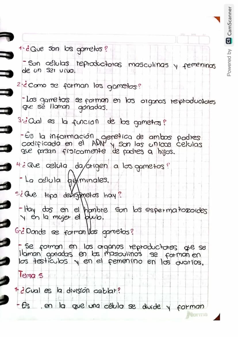 Reproducción humana
La función de reprodución permite generar
nuevos individuos semejantes a los progenitores
lo que posibilita la supervive