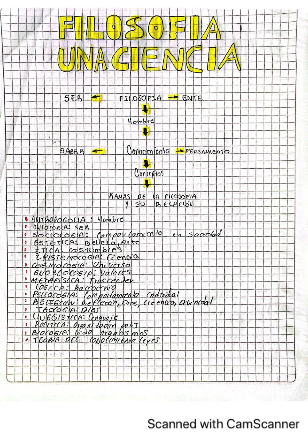 # FILOSOFIA
UNACIENCIA

SER FILOSOFIA ENTE

Hombre

SABER Conocimiento PENSAMIENTO

Conceptos

RAMAS DE LA FICOSOFIA
Y SU BECACIÓN

*   ANTR