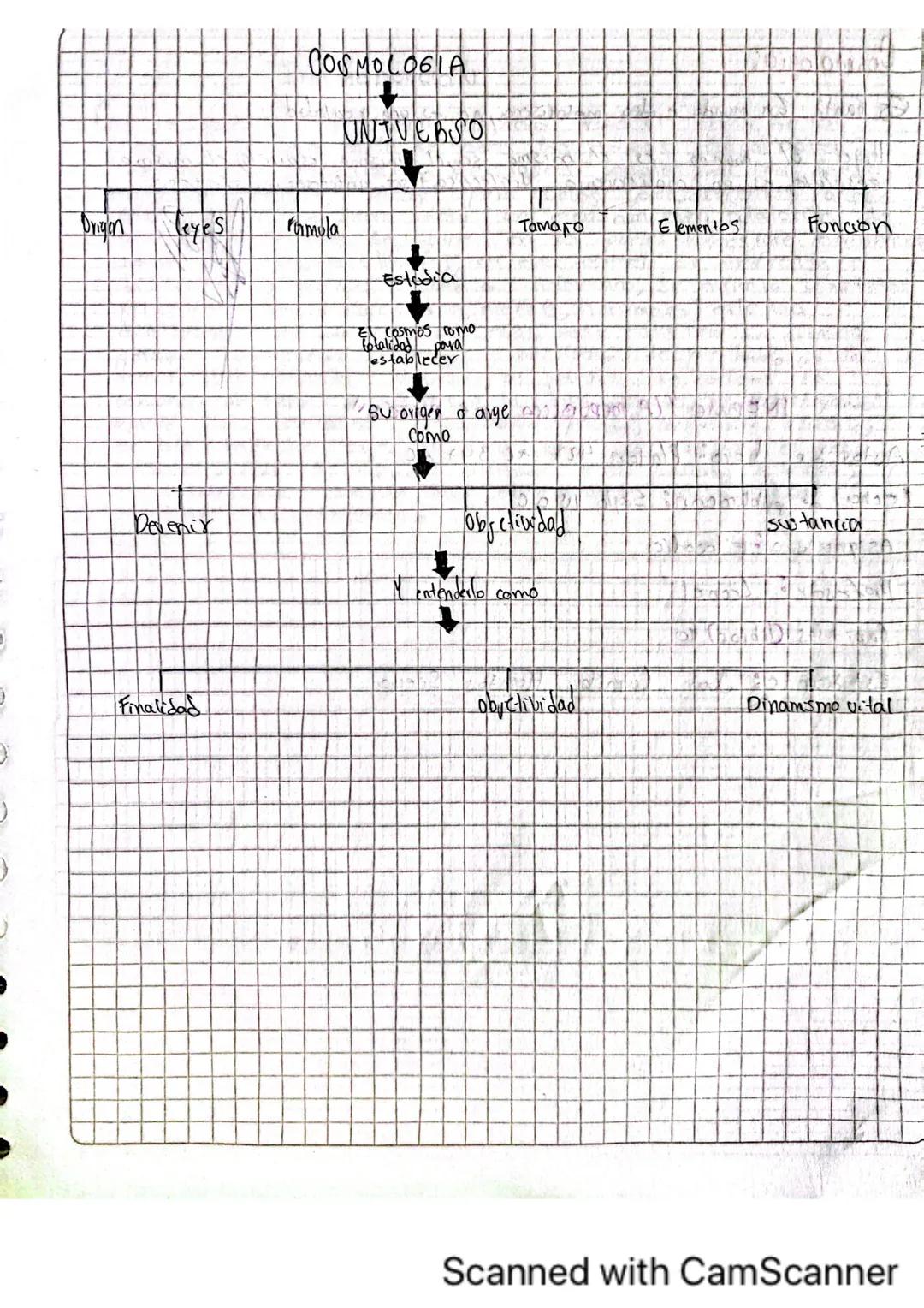 # FILOSOFIA
UNACIENCIA

SER FILOSOFIA ENTE

Hombre

SABER Conocimiento PENSAMIENTO

Conceptos

RAMAS DE LA FICOSOFIA
Y SU BECACIÓN

*   ANTR