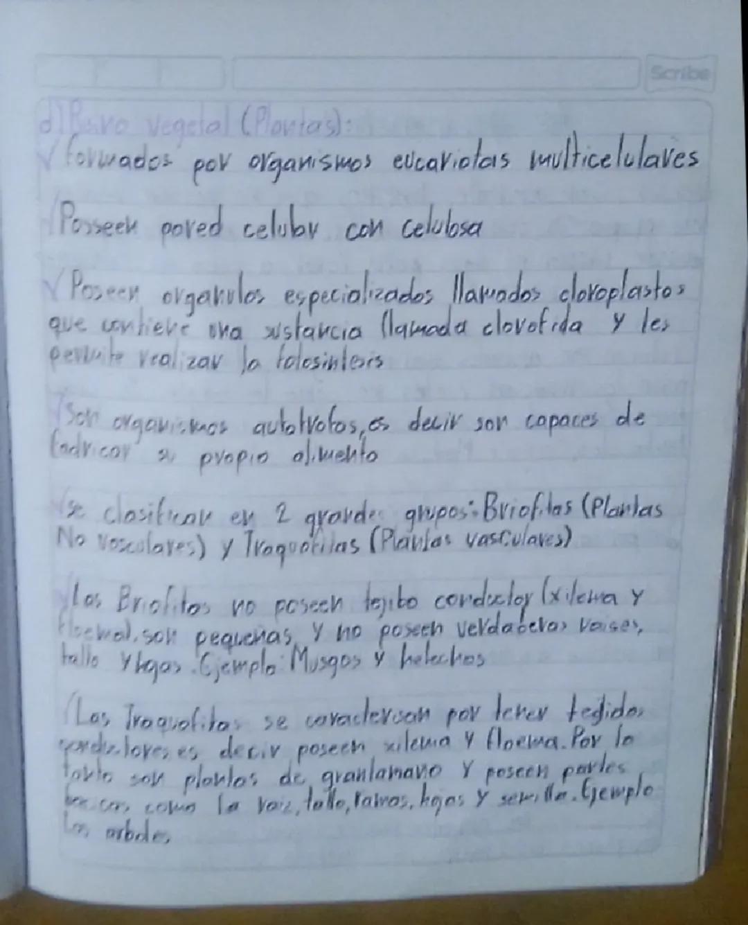 Scribe

allare vegetal (Plantas):
formados por organismos eucariotas multicelulaves

Posseek pored celular con celulosa

Poseen organulos es