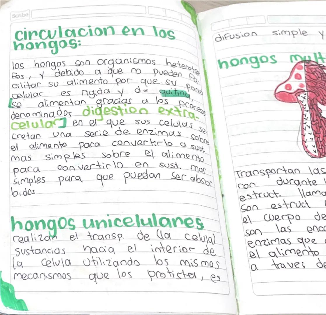 Scribe

Nucleo: Retiene info geneticon
Memb. celular: Protege la celula

Circulacion
en los Seres
Vivos

Transporte de Sustancias
en
Organis