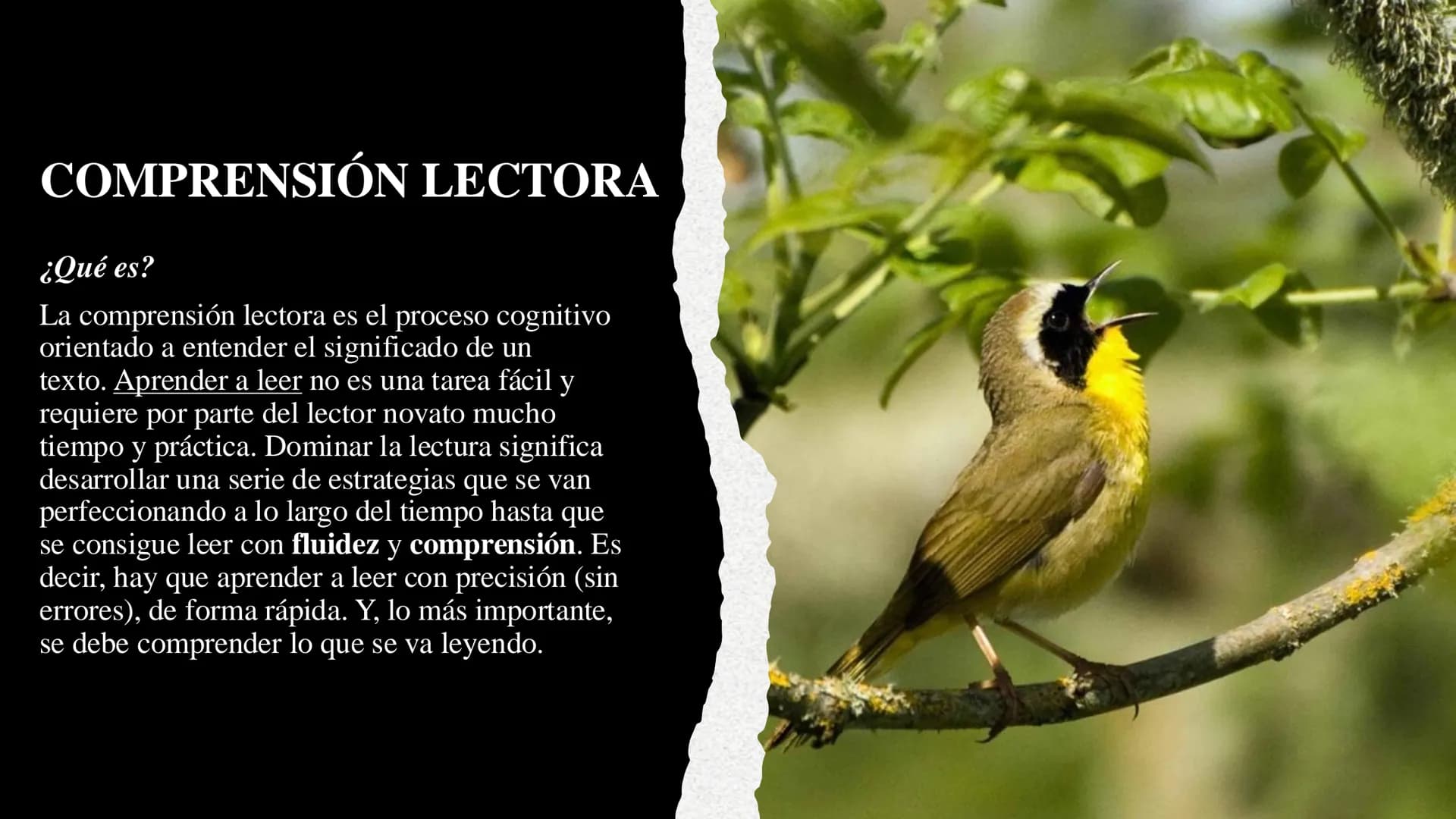 LECTURA CRÍTICA
TEMA: TÉCNICAS DE COMPRENSIÓN LECTORA COMPRENSIÓN LECTORA
¿Qué es?
La comprensión lectora es el proceso cognitivo
orientado 