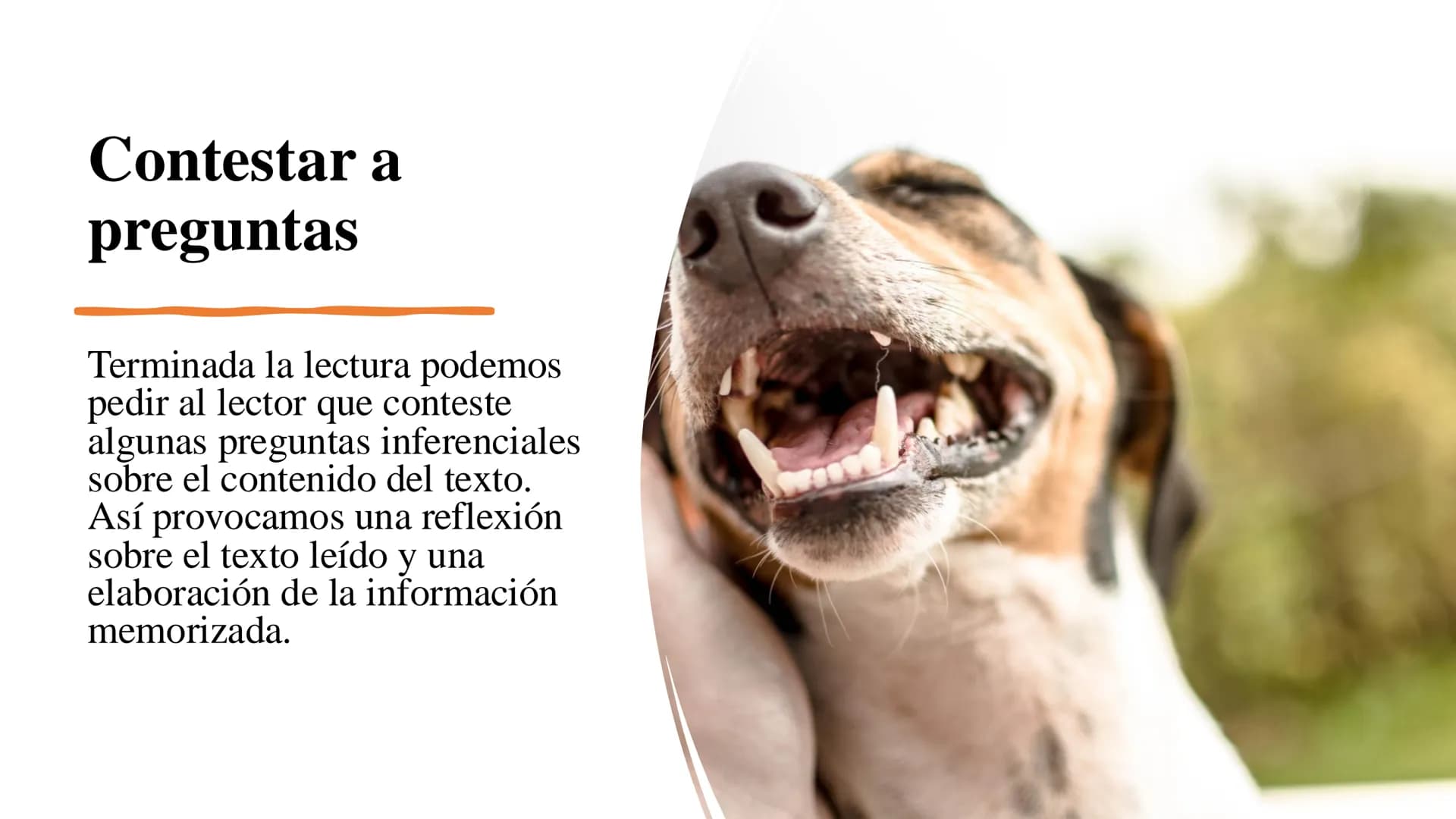 LECTURA CRÍTICA
TEMA: TÉCNICAS DE COMPRENSIÓN LECTORA COMPRENSIÓN LECTORA
¿Qué es?
La comprensión lectora es el proceso cognitivo
orientado 