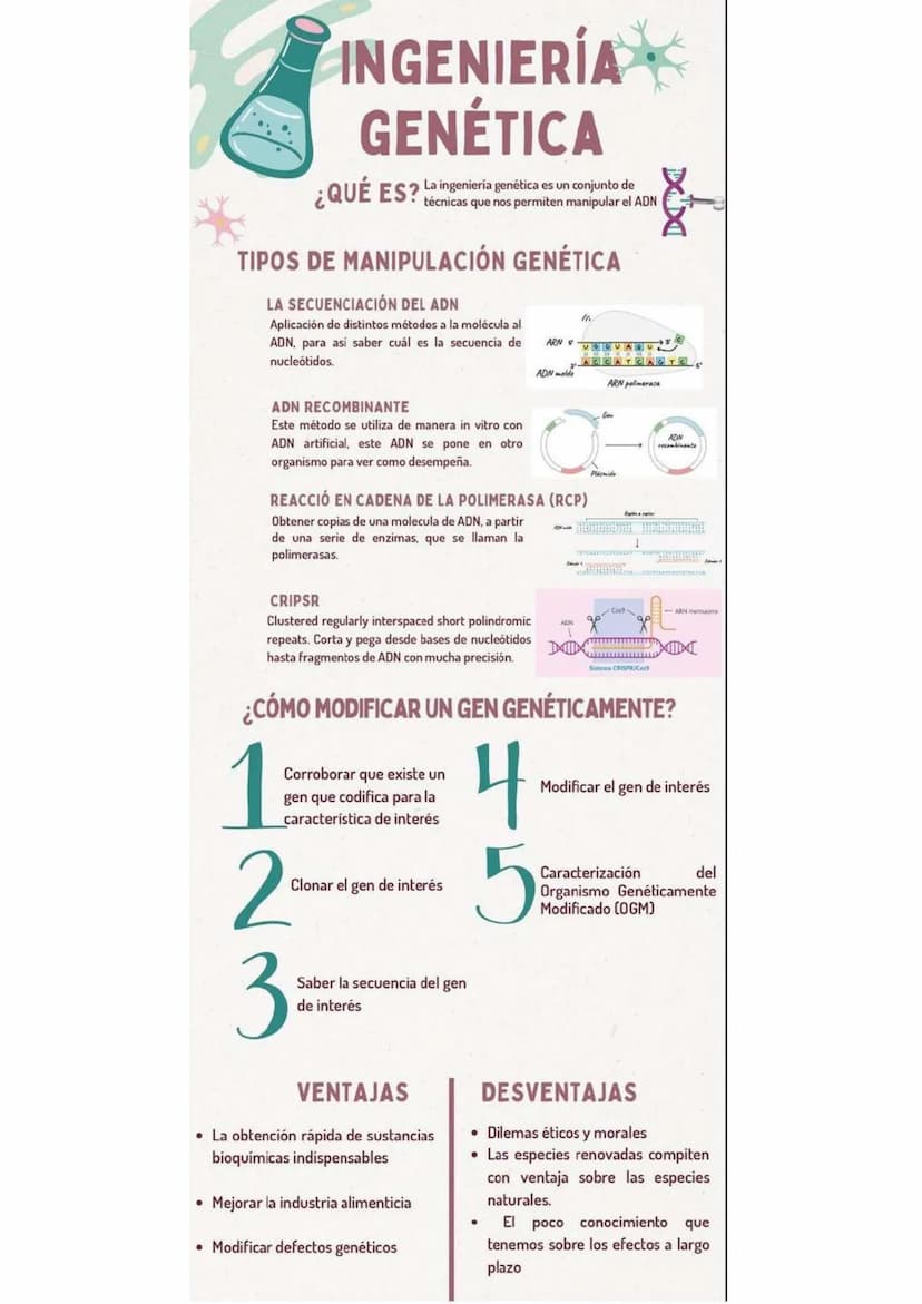 INGENIERÍA
GENÉTICA
¿QUÉ ES? La ingeniería genética es un conjunto de
técnicas que nos permiten manipular el ADN
TIPOS DE MANIPULACIÓN GENÉT