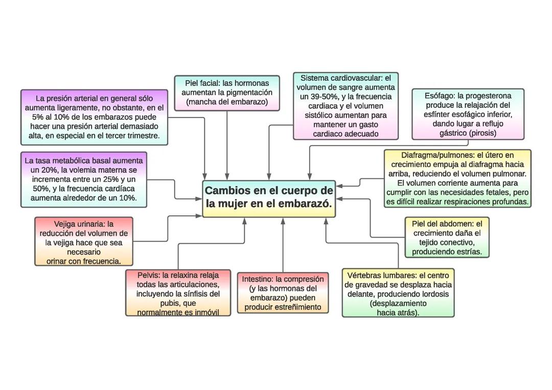 Cambios en el cuerpo de una mujer embarazada 