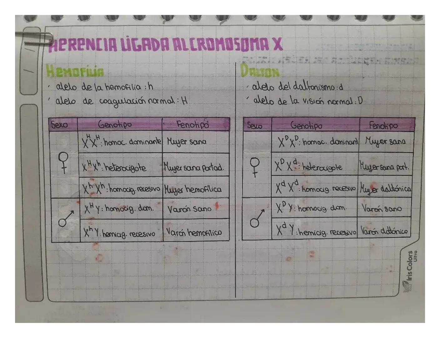 # APRENCIA LIGADA AL CROMOSOMA X

*   Hemofilia
    *   alelo de la hemofilia : h
    /
    *   alelo de coagulación normal: H

| Sexo | Gen