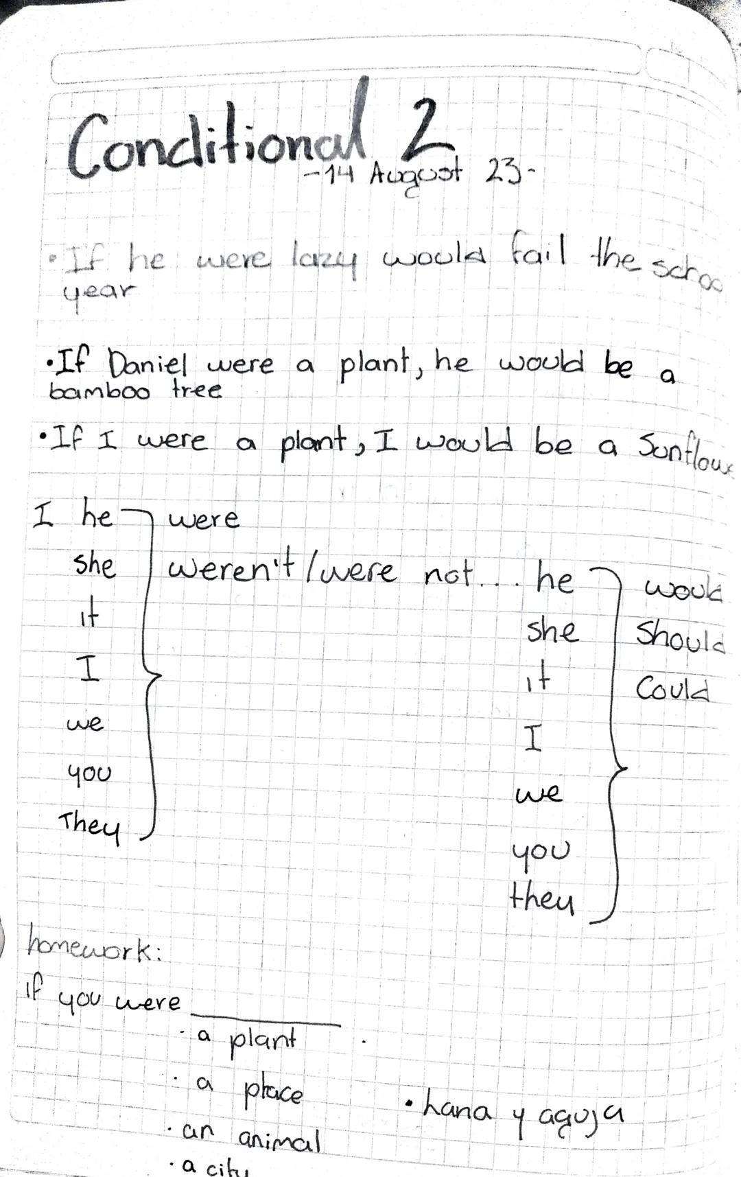 Conditional 2
-14 August 23-
• If he were lazy would fail the schoo
year

•If Daniel were a plant, he would be a
bamboo tree.

• If I were a