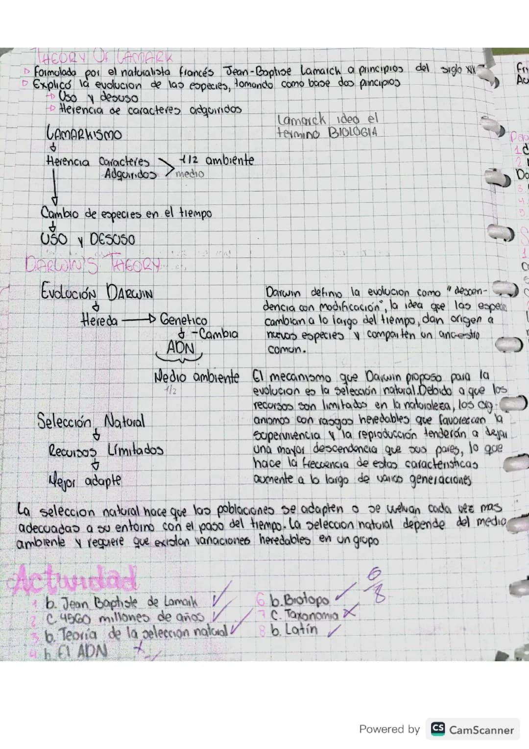 Teoría de Darwin y de Lamark 