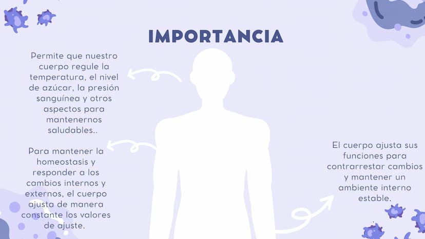 SISTEMAS
DEL
CUERPO
HUMANO SISTEMA
ENDOCRINO
• Función: Regula diversas funciones corporales a través
de la secreción de hormonas.
Órganos P