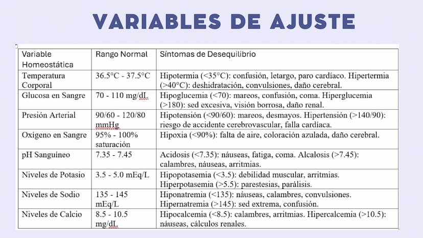 SISTEMAS
DEL
CUERPO
HUMANO SISTEMA
ENDOCRINO
• Función: Regula diversas funciones corporales a través
de la secreción de hormonas.
Órganos P