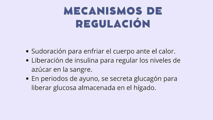 SISTEMAS
DEL
CUERPO
HUMANO SISTEMA
ENDOCRINO
• Función: Regula diversas funciones corporales a través
de la secreción de hormonas.
Órganos P