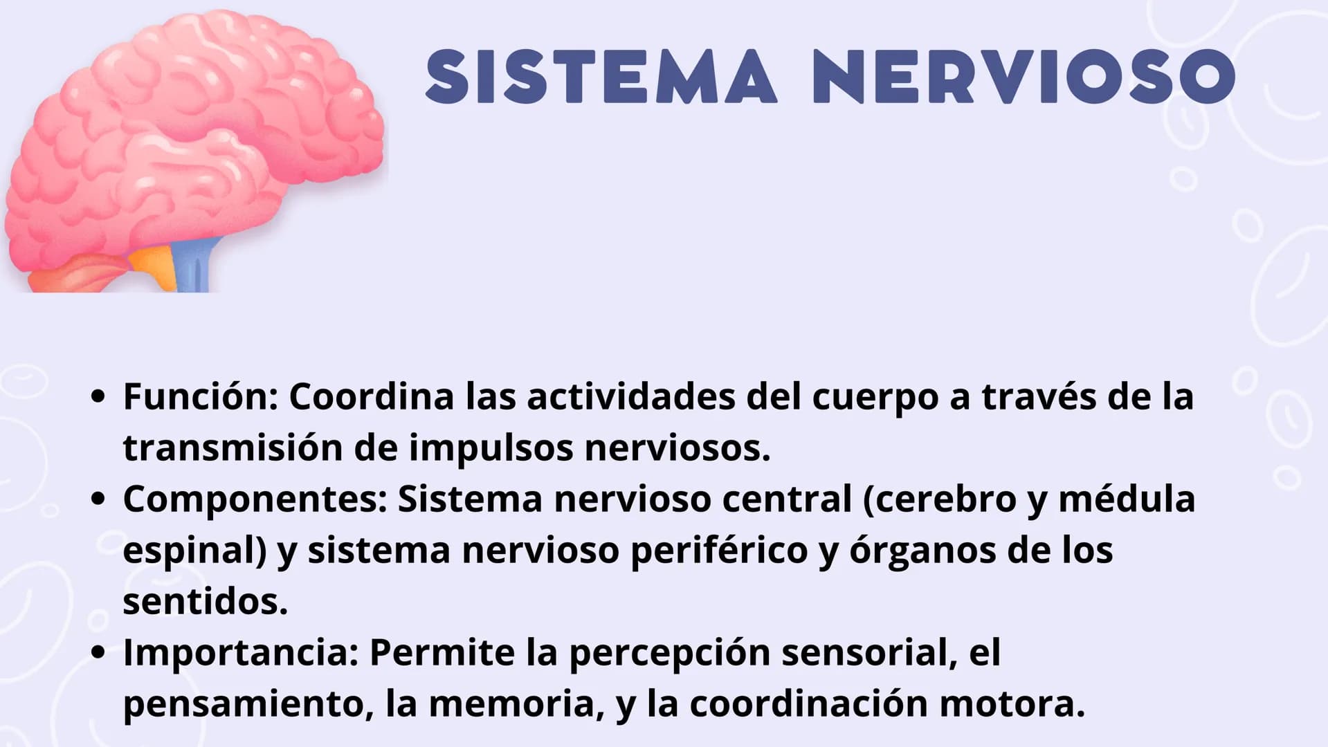 SISTEMAS
DEL
CUERPO
HUMANO SISTEMA
ENDOCRINO
• Función: Regula diversas funciones corporales a través
de la secreción de hormonas.
Órganos P