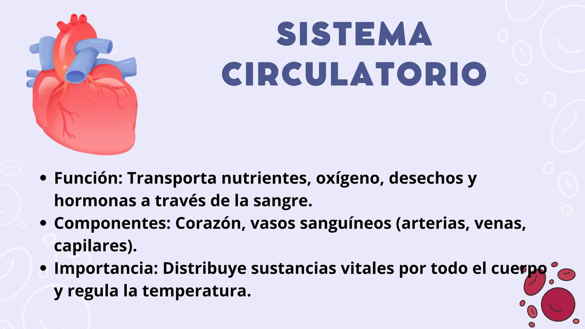SISTEMAS
DEL
CUERPO
HUMANO SISTEMA
ENDOCRINO
• Función: Regula diversas funciones corporales a través
de la secreción de hormonas.
Órganos P