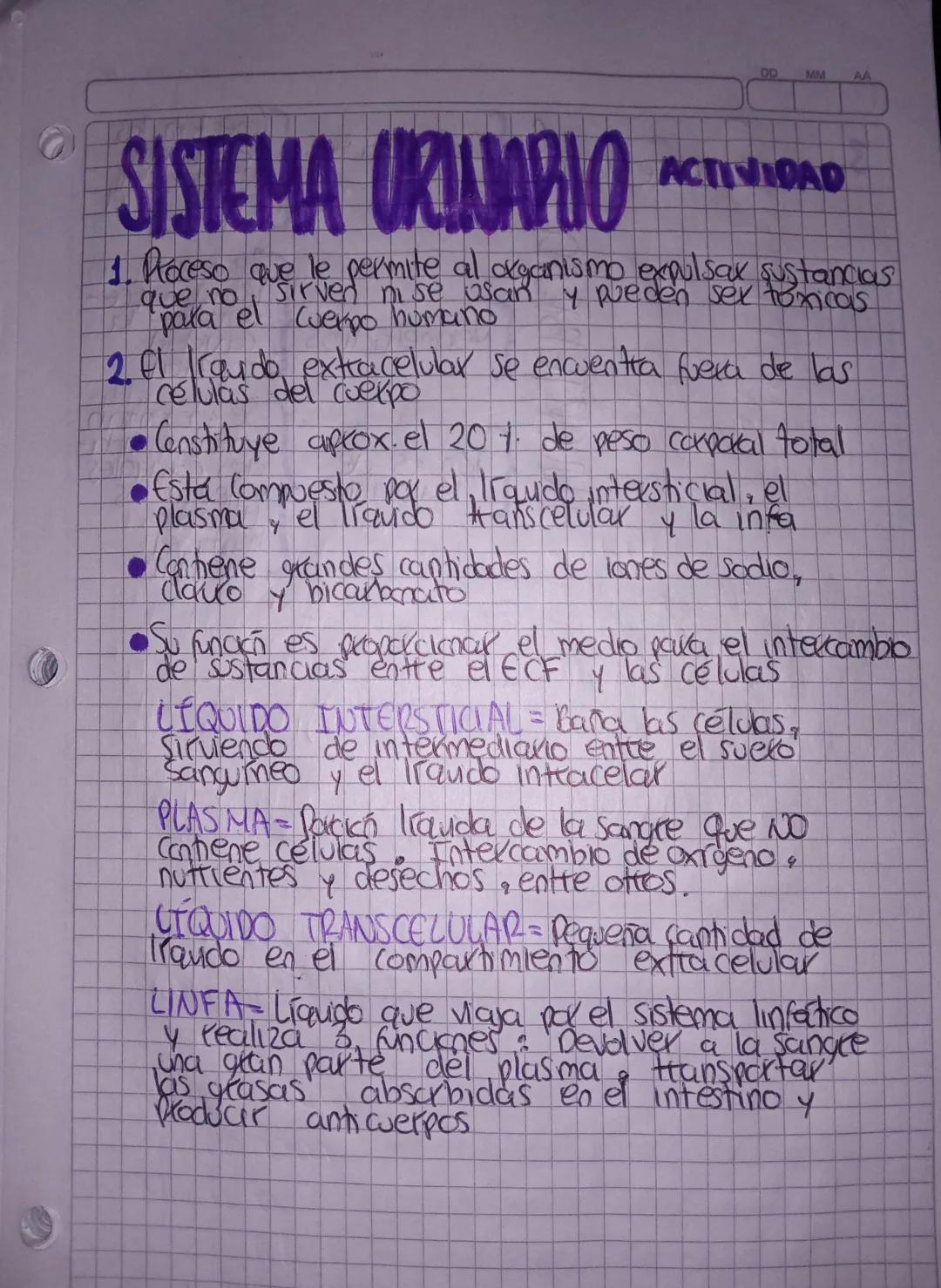 00
MM
AA
# SISTEMA URINARIO ACTIVIDAD

1. Roceso que le per
que no
que le permite al organismo expulsax sustancias
Sirven ni se usan y puede