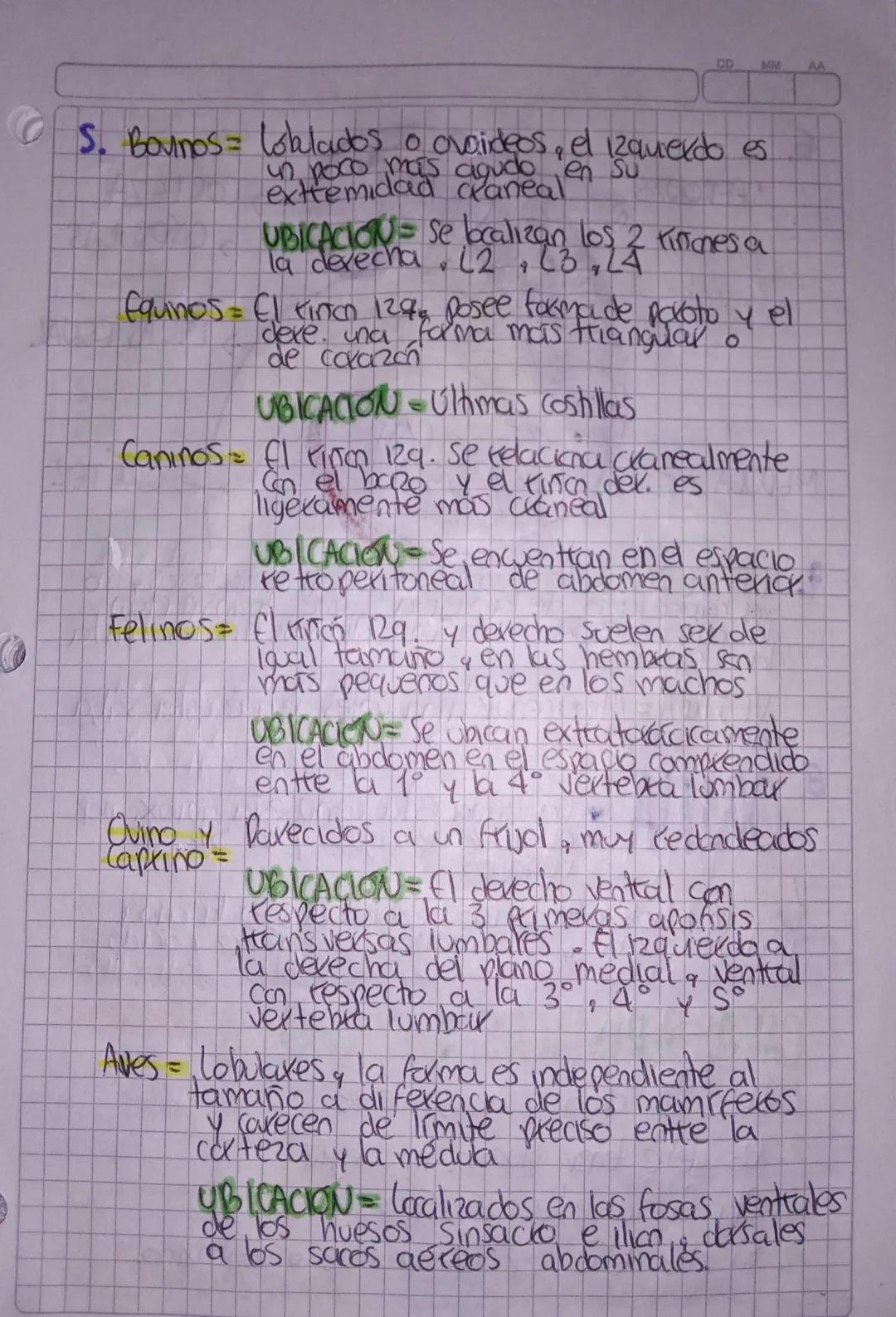 00
MM
AA
# SISTEMA URINARIO ACTIVIDAD

1. Roceso que le per
que no
que le permite al organismo expulsax sustancias
Sirven ni se usan y puede