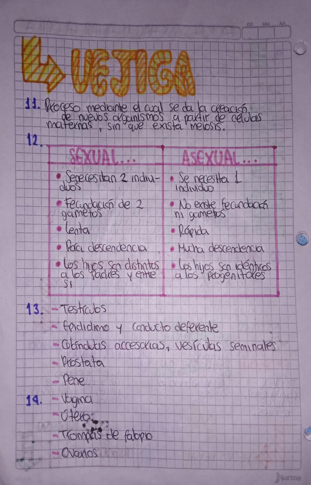 00
MM
AA
# SISTEMA URINARIO ACTIVIDAD

1. Roceso que le per
que no
que le permite al organismo expulsax sustancias
Sirven ni se usan y puede