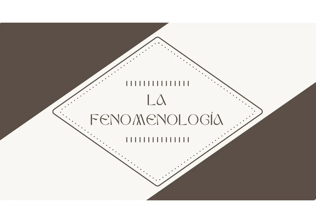 Fenomenología 