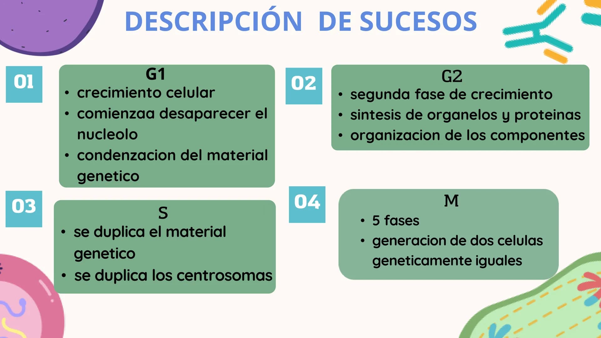 CONTENIDO
1. ¿QUÉ ES EL CICLO CELULAR?
2. ¿CUALES SON LAS FASES DEL CICLO
CELULAR?
3.DESCRIPCIÓN DE SUCESOS.
4.CONSECUENCIAS DE LA EXPOSICIÓ