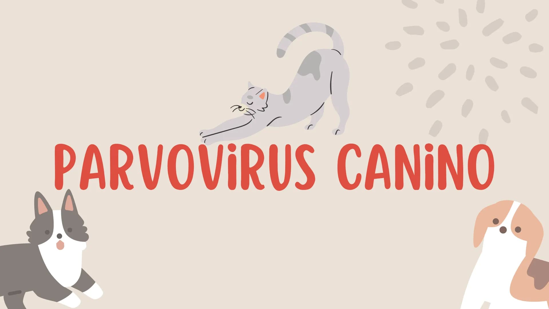 ENFERMEDADES VIRALES
1
PANLEUCOPENIA
FELINA
2
PARVOVIRUS
CANINO
3
RINOTRAQUITIS
PARAINFLUENZA
FELINA
CANINA INTRODUCCIÓN
Seis de cada diez h