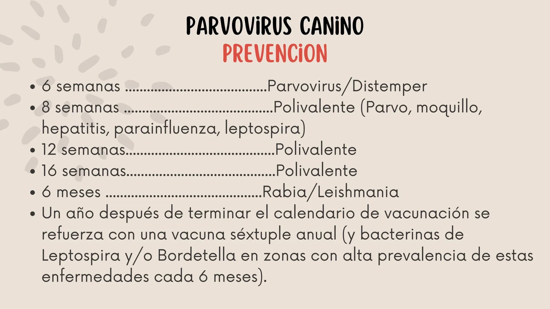 ENFERMEDADES VIRALES
1
PANLEUCOPENIA
FELINA
2
PARVOVIRUS
CANINO
3
RINOTRAQUITIS
PARAINFLUENZA
FELINA
CANINA INTRODUCCIÓN
Seis de cada diez h