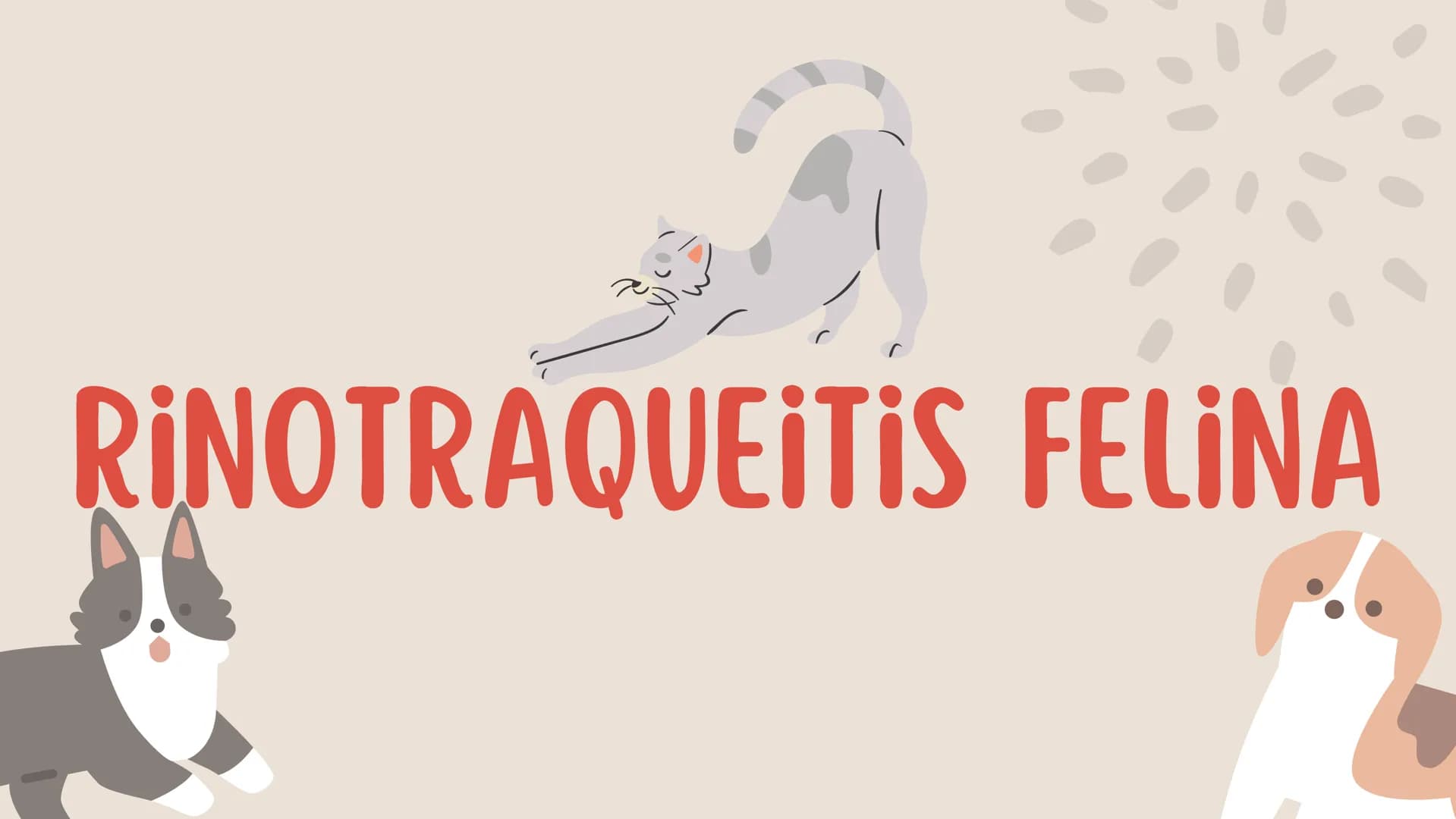 ENFERMEDADES VIRALES
1
PANLEUCOPENIA
FELINA
2
PARVOVIRUS
CANINO
3
RINOTRAQUITIS
PARAINFLUENZA
FELINA
CANINA INTRODUCCIÓN
Seis de cada diez h