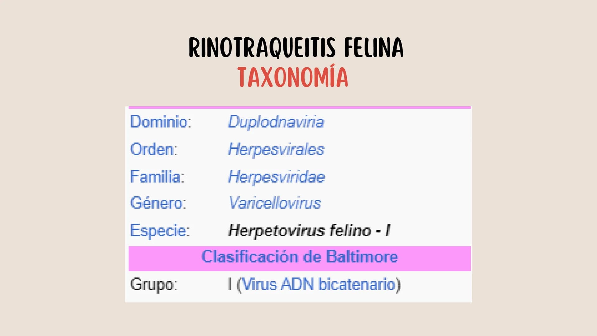 ENFERMEDADES VIRALES
1
PANLEUCOPENIA
FELINA
2
PARVOVIRUS
CANINO
3
RINOTRAQUITIS
PARAINFLUENZA
FELINA
CANINA INTRODUCCIÓN
Seis de cada diez h