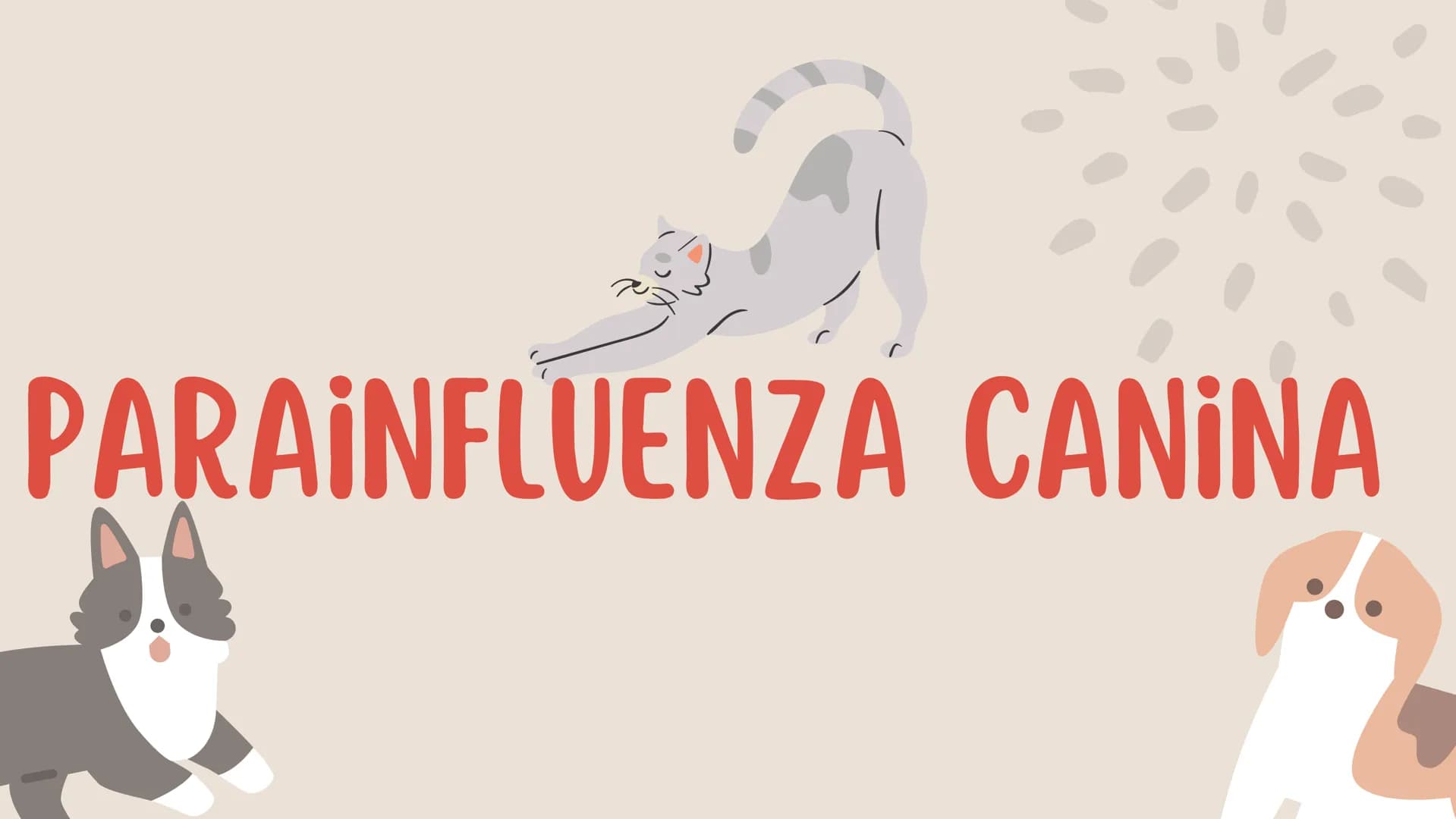 ENFERMEDADES VIRALES
1
PANLEUCOPENIA
FELINA
2
PARVOVIRUS
CANINO
3
RINOTRAQUITIS
PARAINFLUENZA
FELINA
CANINA INTRODUCCIÓN
Seis de cada diez h