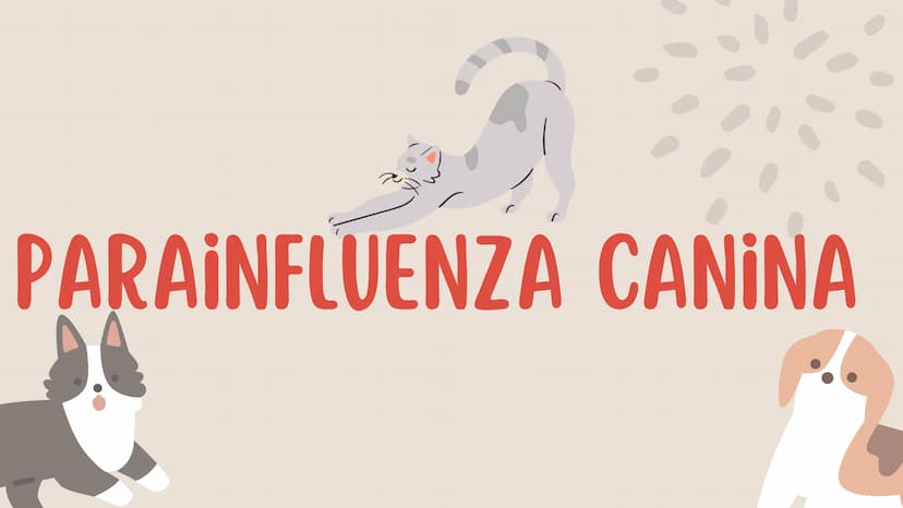 ENFERMEDADES VIRALES
1
PANLEUCOPENIA
FELINA
2
PARVOVIRUS
CANINO
3
RINOTRAQUITIS
PARAINFLUENZA
FELINA
CANINA INTRODUCCIÓN
Seis de cada diez h